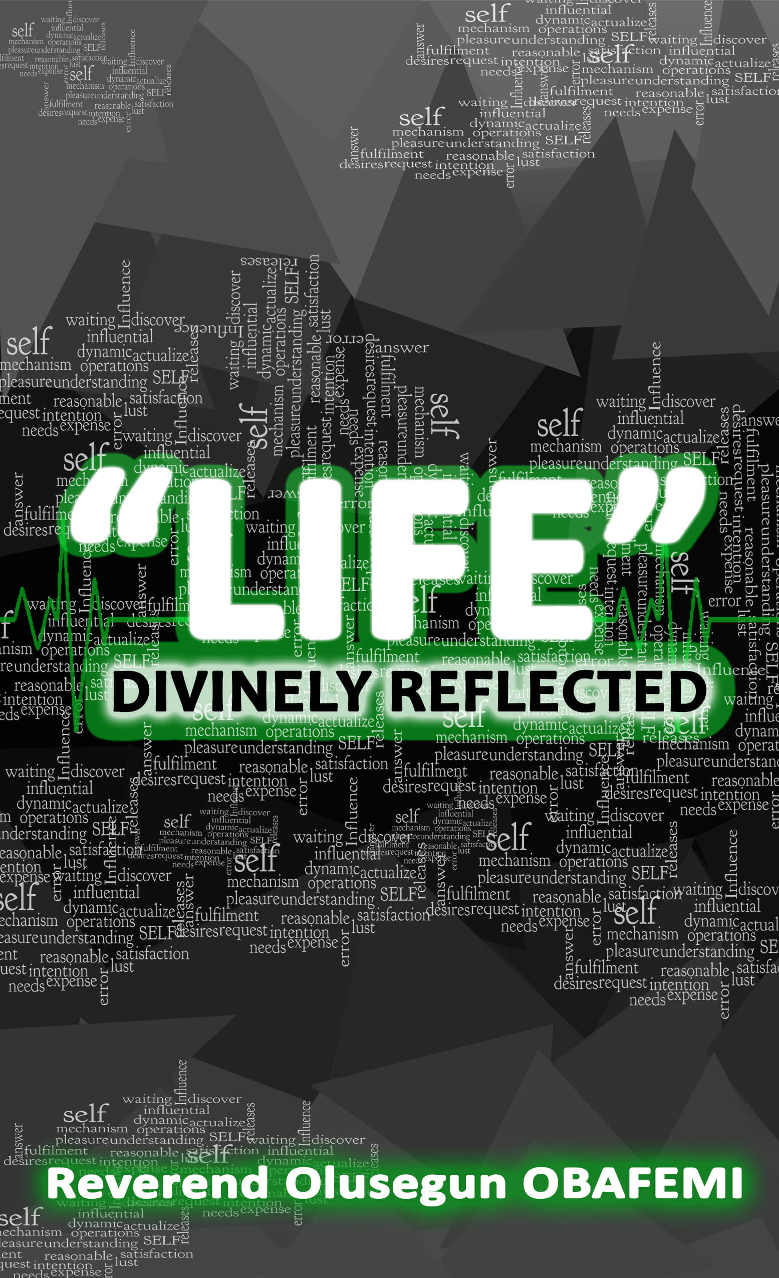 LIFE: Divinely Reflected book cover